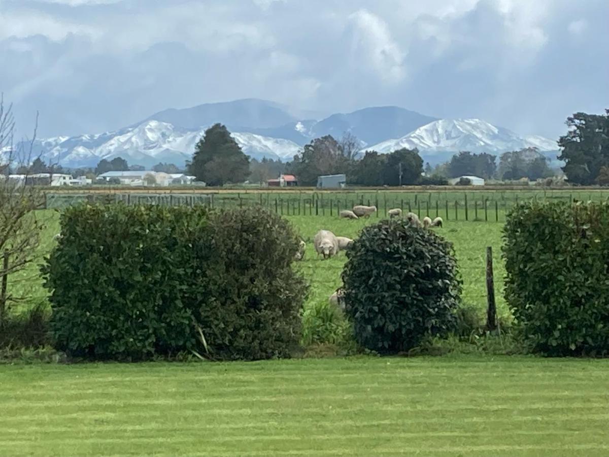 Vila Bellevue Haven Masterton Exteriér fotografie